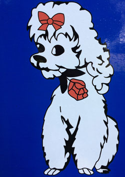 dog grooming cartoon
